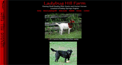 Desktop Screenshot of ladybughillfarm.com