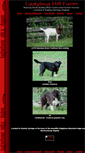 Mobile Screenshot of ladybughillfarm.com