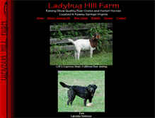 Tablet Screenshot of ladybughillfarm.com